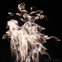 /album/light-painting/frida-dumont-img-0809-jpg/